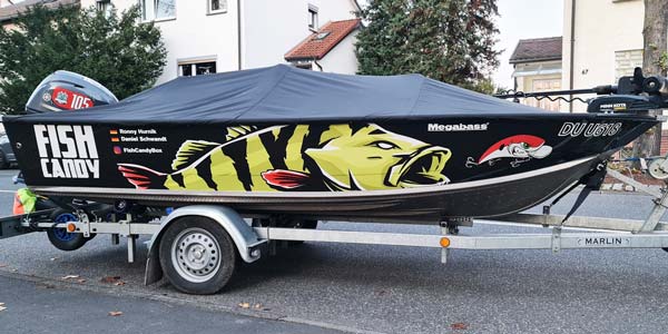 Fish candy design with comic perch