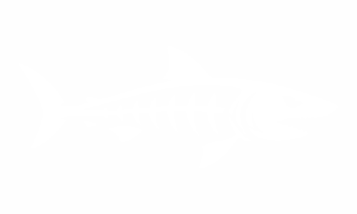 Adesivo con scheletro di pesce: squalo a sinistra