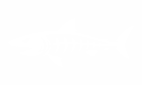 Adesivo con scheletro di pesce: squalo