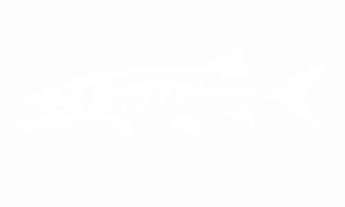 Adesivi per il luccio con scheletro di pesce