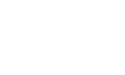 Adesivo con scheletro di pesce (carpa) per adesivi carpfishing