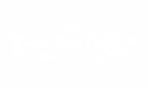 Adesivi pesci: salmone e trota