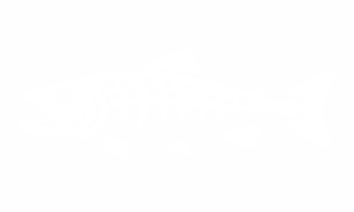 Adesivi pesci: salmone e trota