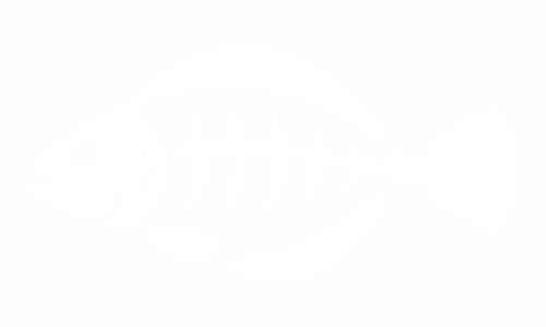 Adesivi pesci: passera di mare, platessa