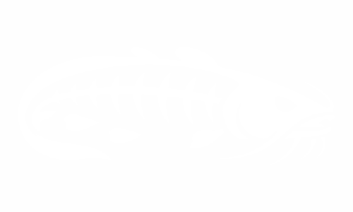 Adesivo con scheletro di pesce: pesce gatto (sinistra)