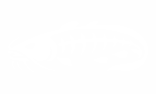 Adesivo con lo scheletro di un pesce: pesce gatto