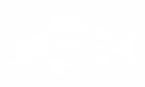 Adesivo lucioperca con lo scheletro di un pesce: il lucioperca