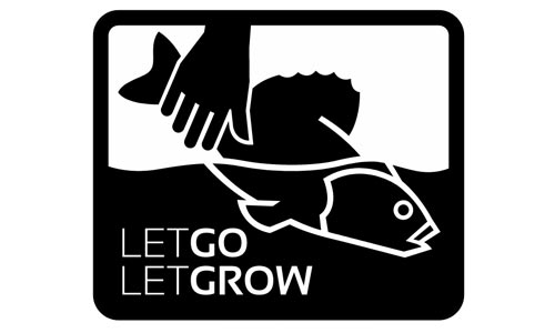 let go let grow aufkleber