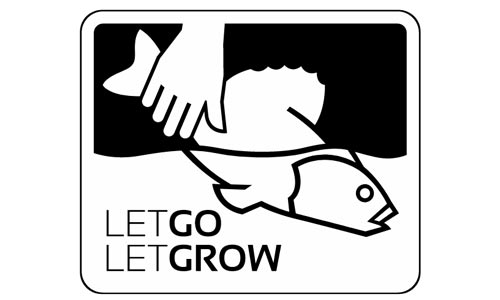 let go let grow aufkleber