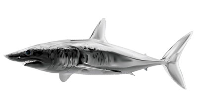 Mako Shark Sticker