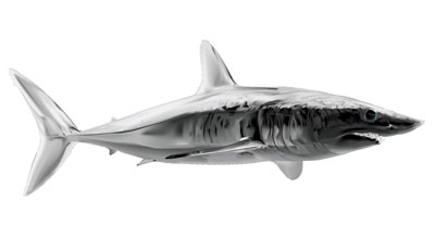 Naklejka Mako Shark