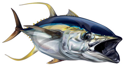 Tuna Sticker