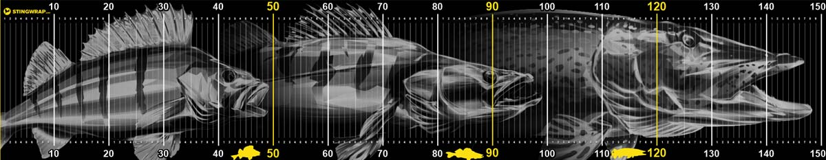 Abhakmatte mit Maßband mit Barsch Zander und Hecht