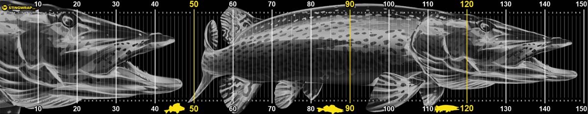 Unhooking mat fishing with pike measuring tape