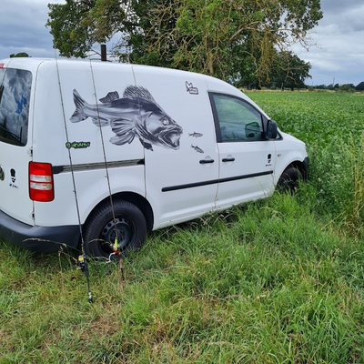 Wirklich zu empfehlen