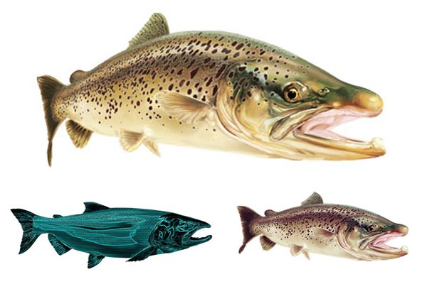 Forel Stickers