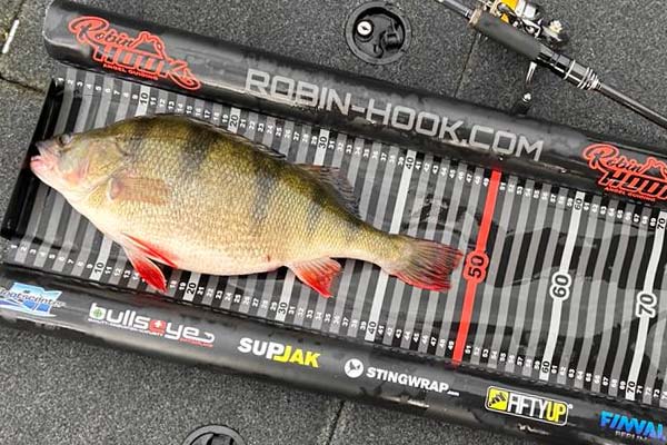 Boat fish tape measure for large perch