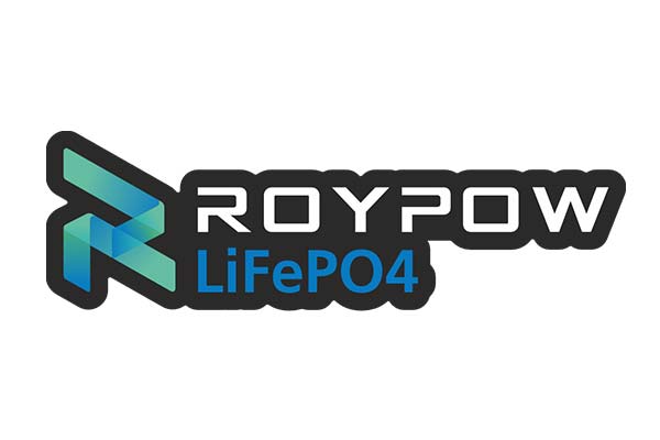 10x Roypow