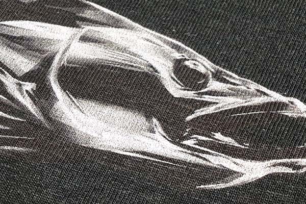 Zander T-Shirt nah